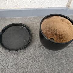 陶器の鉢植え