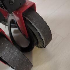 コールマン　キャリーの画像