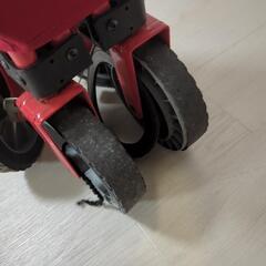 コールマン　キャリーの画像