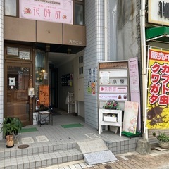 【無人販売】９月も営業中‼️ノコギリクワガタ100円‼️オオクワ...