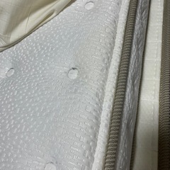 シングルベッド　ニトリの画像