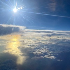 石垣島　早朝スキンダイビング🤿行きませんか？