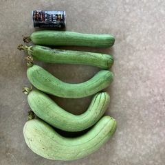 野菜　ナーベーラー　へちま