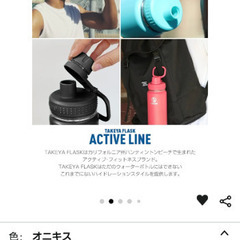 TAKEYA タケヤフラスク アクティブライン 0.7L オニキス 水筒 ステンレスボトル 直飲み 保冷 TAKEYAの画像