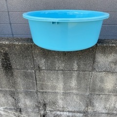 たらい・ブルー
