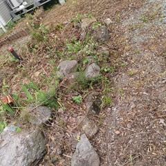庭石