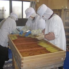 さつまいも収穫と干しいも加工をお手伝いしてくださる方を、求めておりますの画像