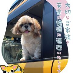 ペットタクシー（24時間365日）　旅行から引っ越し　ペット送迎、輸送全国対応の画像
