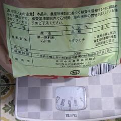令和5年産もち米の画像