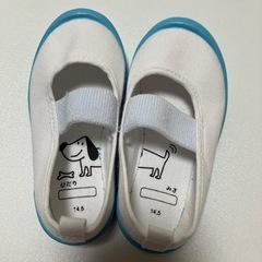 上履き　運動靴　14.5cm 室内シューズ