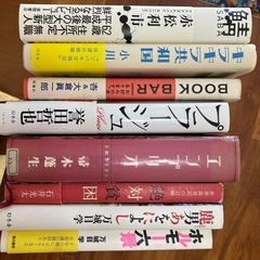 本複数