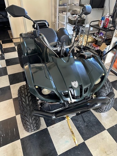 【問合せ複数の為、追記あり】室内保管　美品　バギー　不具合無し　可動車　登録済み車両