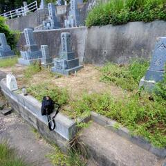 墓周りの草刈り【広島限定】Ｎｏ2