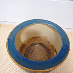 葡萄柄　植木鉢の画像