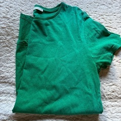 ZARAのTシャツ