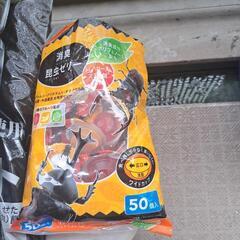 カブトムシの幼虫セットの画像