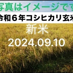 【完売御礼】令和６年コシヒカリ玄米 30kg　茨城産新米1袋OK 採れたて R6.09.10到着分 
