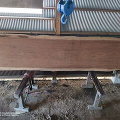 希少　天板　テーブル　カウンター　ブビンガ　①の画像