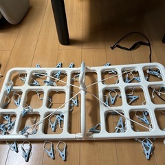 ピンチハンガー　2個　　
の画像