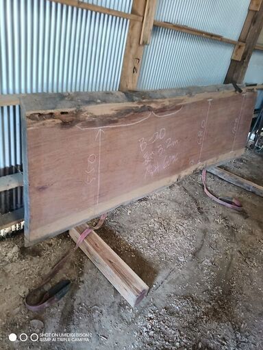 希少　天板　カウンター　テーブル　ブビンガ　②