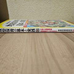 地域型保育の基本と実践 子育て支援員研修〈地域保育コース〉テキストの画像