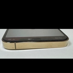 【シャッター音なし】iPhone12pro 258GB 海外版の画像