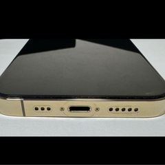 【シャッター音なし】iPhone12pro 258GB 海外版の画像