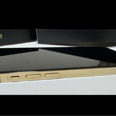【シャッター音なし】iPhone12pro 258GB 海外版の画像