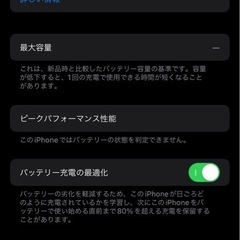 【シャッター音なし】iPhone12pro 258GB 海外版の画像