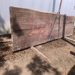 希少　天板　テーブル　カウンター　アフリカンパドック　パドウクの画像