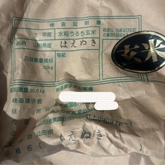 山形県産はえぬき5kg(玄米/白米)