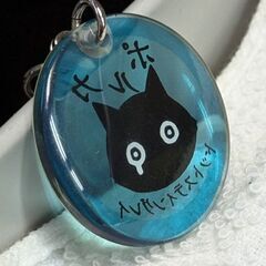 ☆キーホルダー　ポルカドットスティングレイ　黒猫ビビ　未使用品　の画像