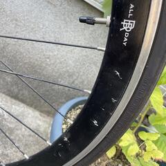 ピスト チネリ ガゼッタの画像
