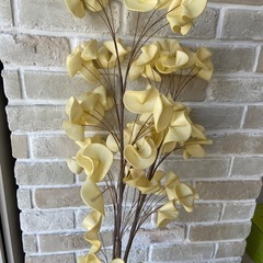 造花の画像