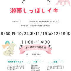 茅ヶ崎市役所前広場でペット向けヒーリング🐶