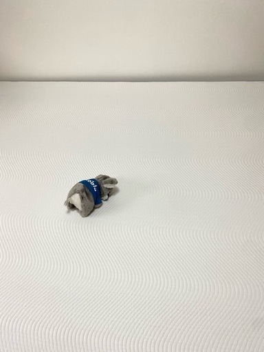 コアラ クイーンマットレス