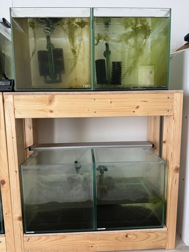 バラ売り可能　30cmキューブ水槽x4 水槽台