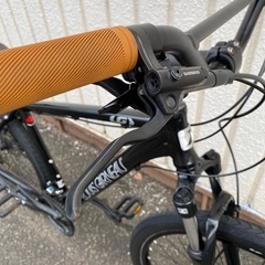 LOUIS GARNEAU:グラインド9プチカスタムの画像