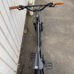 LOUIS GARNEAU:グラインド9プチカスタムの画像