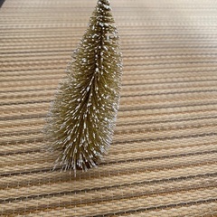 もみの木（ミニツリー）の画像