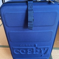 (値下げ！18日まで
)gerry cosbyキャリーケース