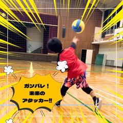 【守山市】公式ドッジボールチーム【S.H SUNS(サンズ)】
