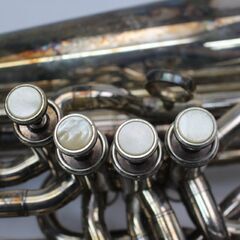 109) YAMAHA ヤマハ ESTABLISHED IN 1887 YBB621 チューバ ケース付き の画像