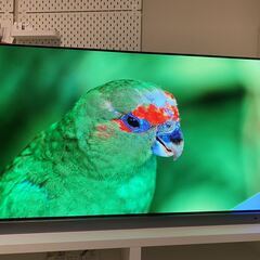 REGZA レグザ  TOSHIBA 有機ELテレビ 48X94...