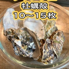 牡蠣殻 10枚～15枚