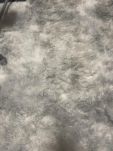 [直接お渡し限定] 北欧風 ラグ カーペット ライトグレー 200x250cm