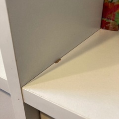 IKEA EXPEDIT イケア  エクスペディート(後継KALLAXカラックス)の画像