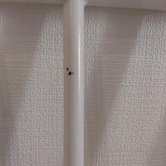 【お値下げしました】ベビー•ペットゲートの画像
