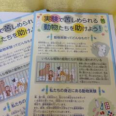 動物実験反対。チラシ