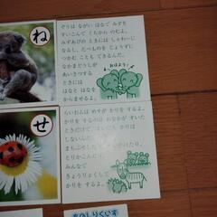 しぜんかんさつかるたの画像